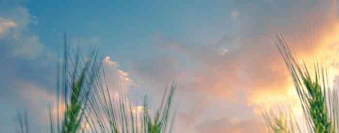 <b>�������һ��˵��ˣ���������Ե</b>