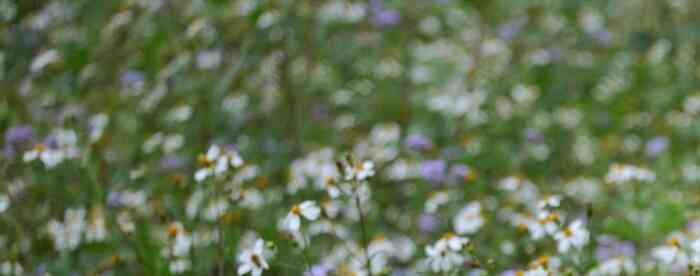 �����˹�������������ʺϿ����İ�������