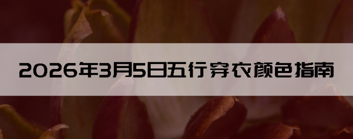 2026��3��5�����д�����ɫָ��