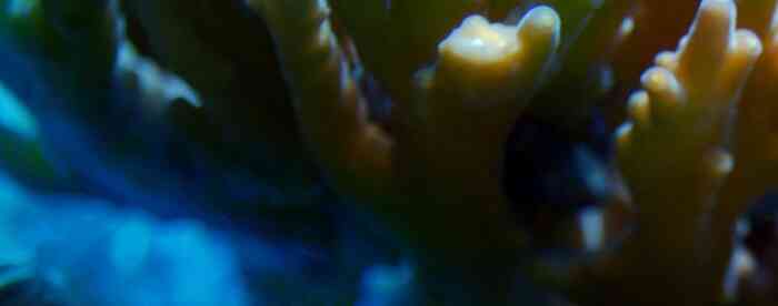 <b>���͸ɰɣ��������ױ��ϰ�����</b>