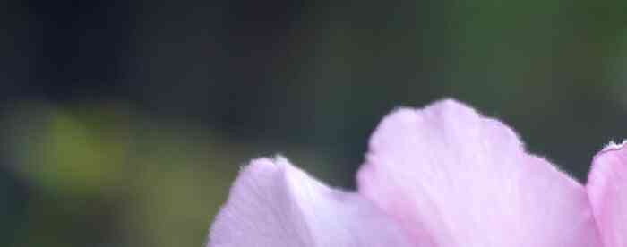 �����������������������ĸ�Ϊ����