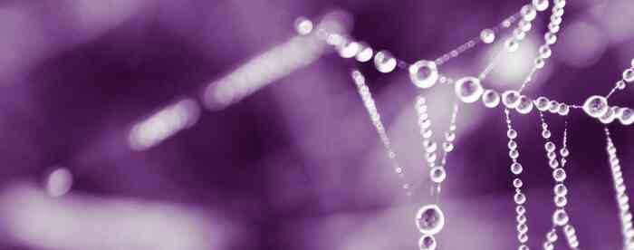 <b>�����ֻ��䣬��ѡ���ʵ���ż</b>