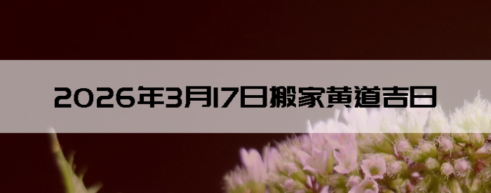 2026��3��17�հ�ҵ���������