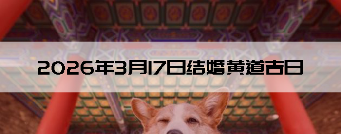 2026��3��17�ս�鼪��������