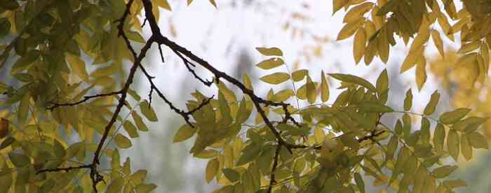 ����������ƣ��������λ����