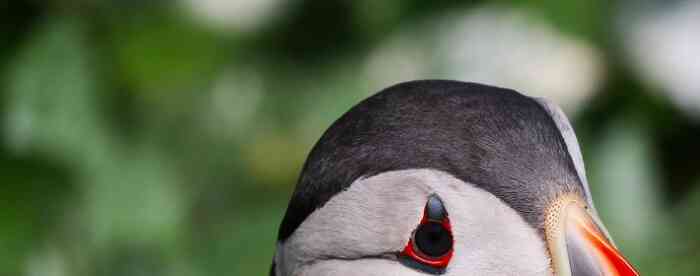 <b>�󸻴������֣������������</b>