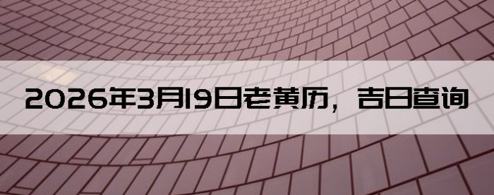 2026��3��19���ϻ��������ղ�ѯ