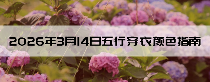 2026��3��14�����д�����ɫָ��