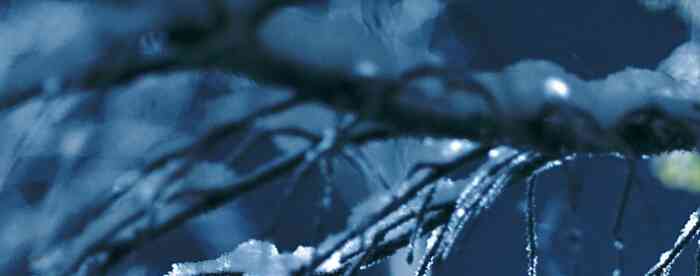 ������Ծ����´����黹�ж��