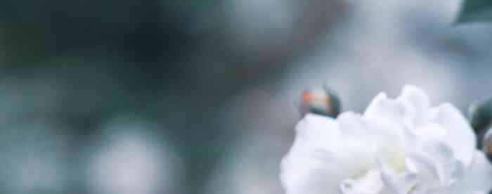 <b>û������˥����س������������</b>