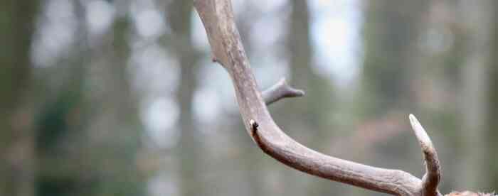 ˮ����������س�������Կ�����