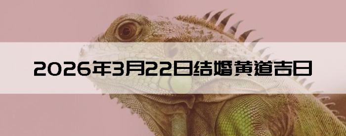 �ƹ�����������ǮŮ��һ�����