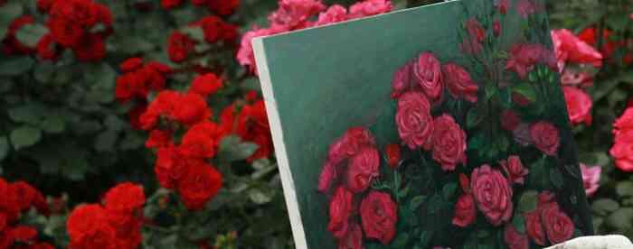 ��������������Ȣ��Ǯ���ӵ���������