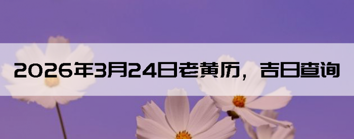 2026��3��24���ϻ��������ղ�ѯ