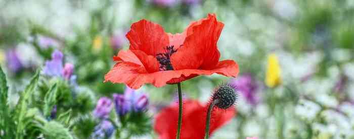 �������������ʳ���Ů�����˺ò��ã�