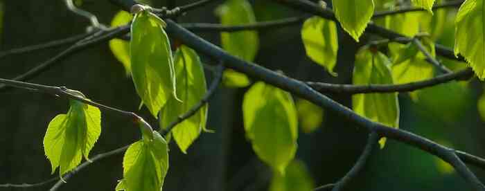 ��������������������в��޿����θ���