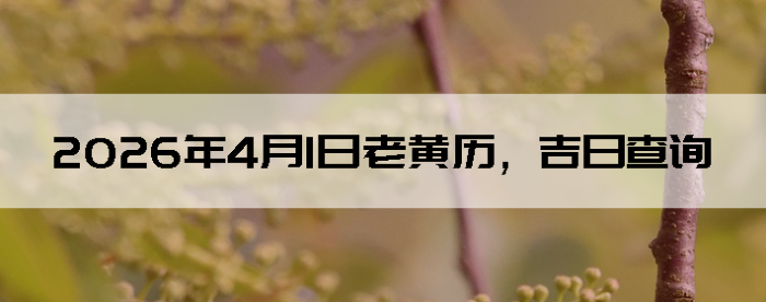 2026��4��1���ϻ��������ղ�ѯ