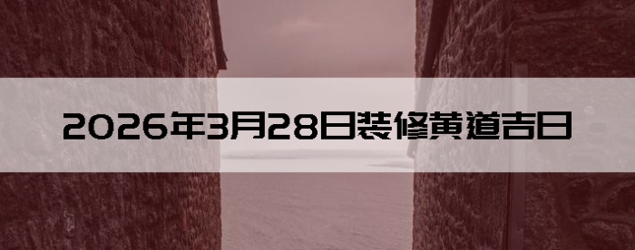 2026��3��28�������ʺ�װ����