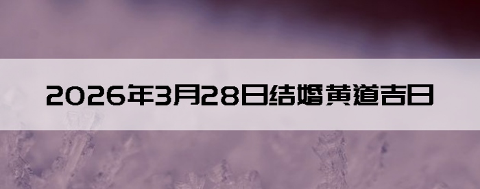 2026��3��28����������ô��