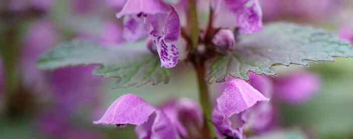 ���������������ϲ����˲�������ʲô