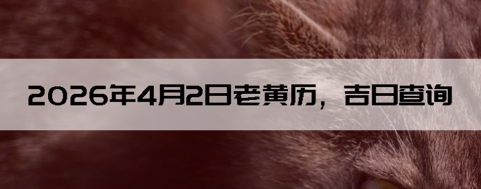 2026��4��2���ϻ��������ղ�ѯ