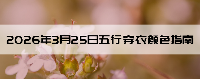 2026��3��25�����д�����ɫָ��