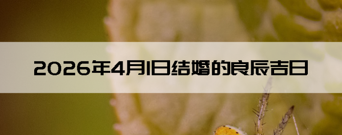 2026��4��1�������ʺϽ����