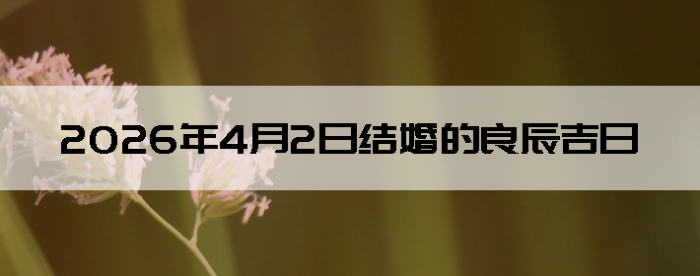 2026��4��2�������ʺϽ����