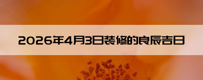 2026��4��3�������ʺ�װ����