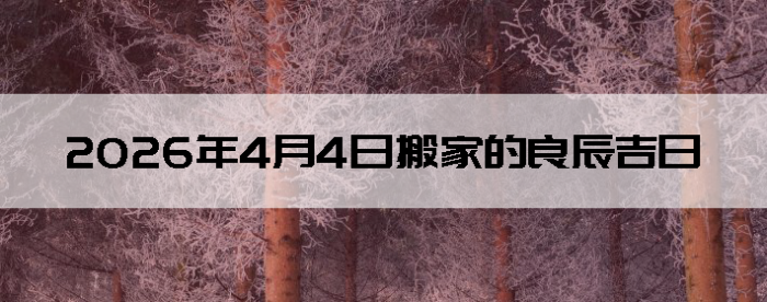 2026��4��4�հ�ҵ���������