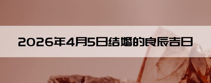 2026��4��5�ս������Ӳ�ѯ