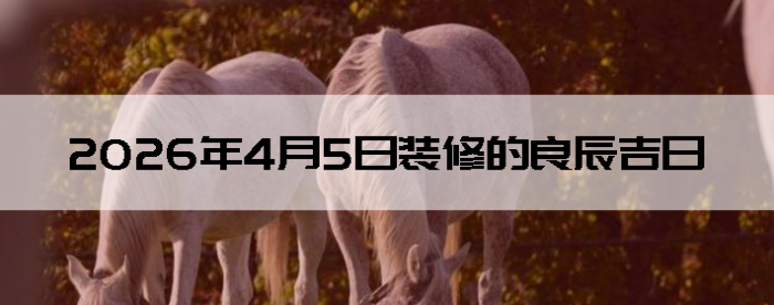 2026��4��5��װ�޵���������