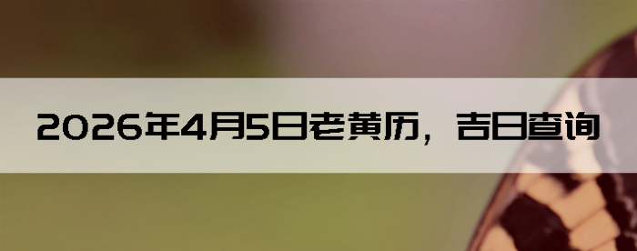 2026��4��5���ϻ��������ղ�ѯ