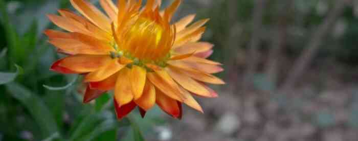 �ܹ������μ���������ʲôԤ��