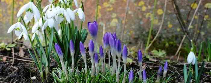 �������ӱ���ǽ���ˮʲô��ϵ