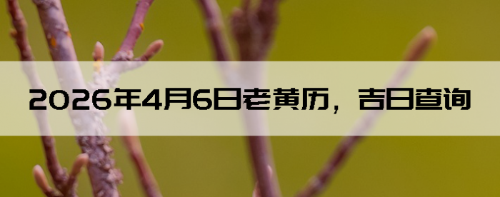 2026��4��6���ϻ��������ղ�ѯ