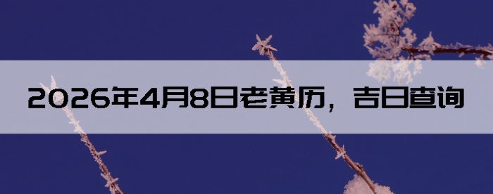 2026��4��8���ϻ��������ղ�ѯ