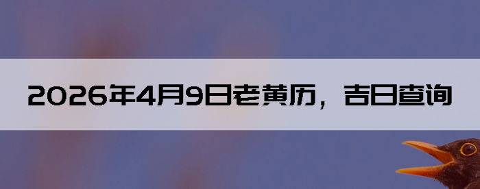 2026��4��9���ϻ��������ղ�ѯ