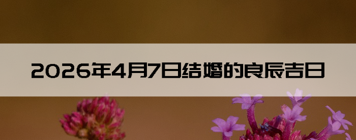 2026��4��7�ս�鼪��������