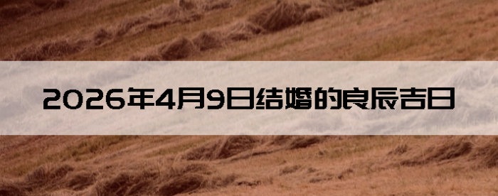 2026��4��9����������ô��