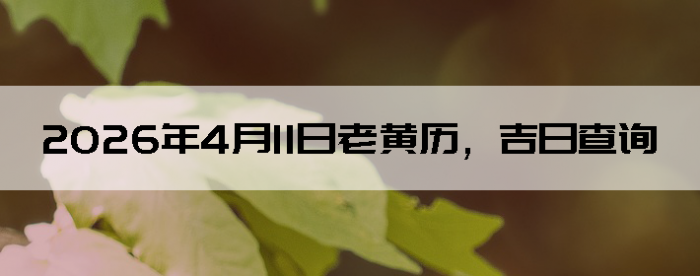 2026��4��11���ϻ��������ղ�ѯ