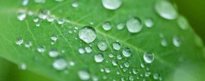 ��������������������˵Ĳ���