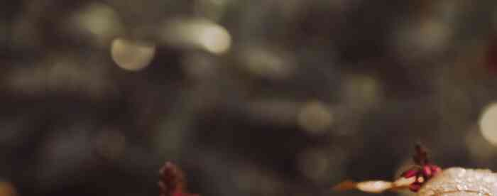 ����û�����ⲻ����ôת���в�