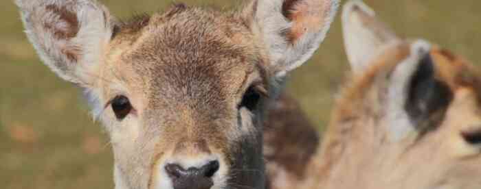 ����Щ��Ф�ദ��Ҫ��ת��ì��