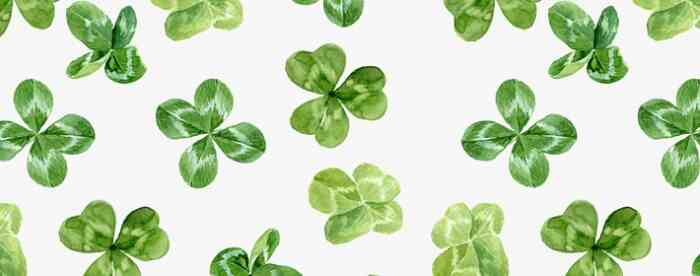 �������ռ�������ֿ�������ʲôְҵ��