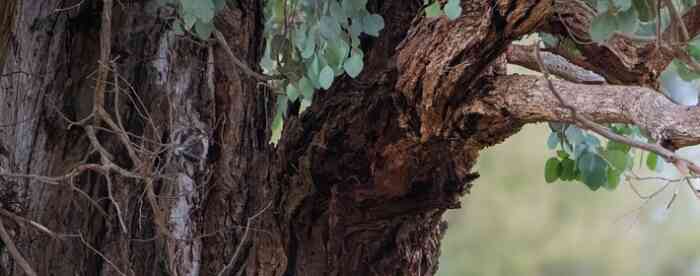 <b>����������TA����ָ���ж��</b>