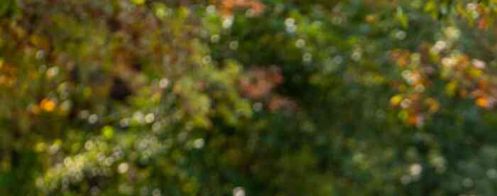 ˵����չ����Щ��Ф�����ⷢչ