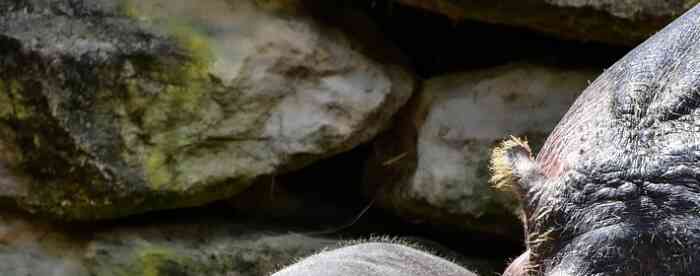 <b>��س�Ļ������壬��س�������</b>