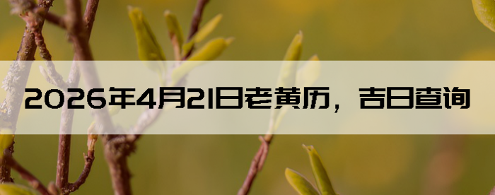 2026��4��21���ϻ��������ղ�ѯ