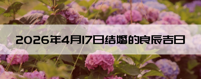 2026��4��17�ս������Ӳ�ѯ